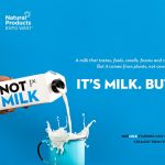 notco startup chile technology pioneers 2020