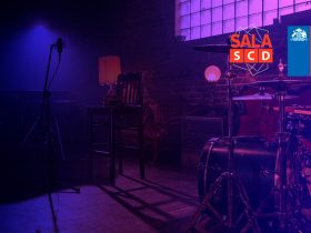 Seminario Formación Autogestión músicos sala scd chile