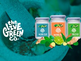 the live green co startup chile