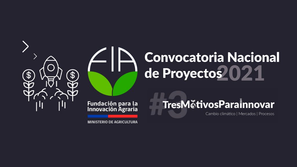 convocatoria nacional innovacion agraria chile