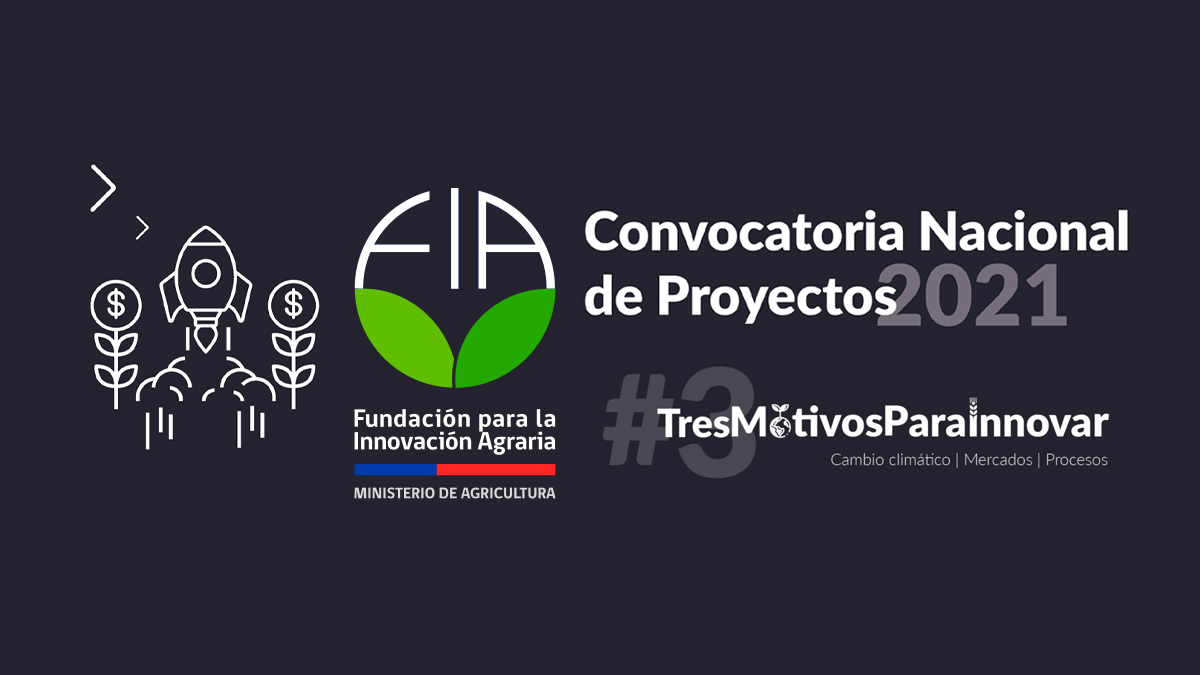 convocatoria nacional innovacion agraria chile