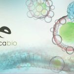 orca bio unicornio chile