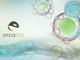 orca bio unicornio chile