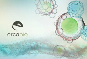 orca bio unicornio chile