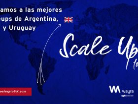 wayra scaleup chile uk