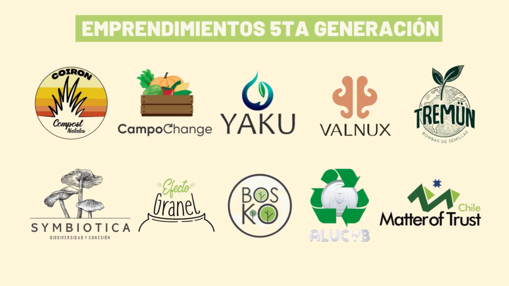 alto impacto colab uc innovacion social chile