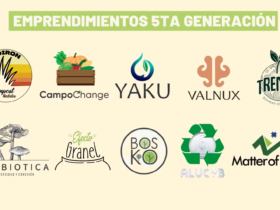 alto impacto colab uc innovacion social chile