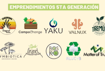 alto impacto colab uc innovacion social chile