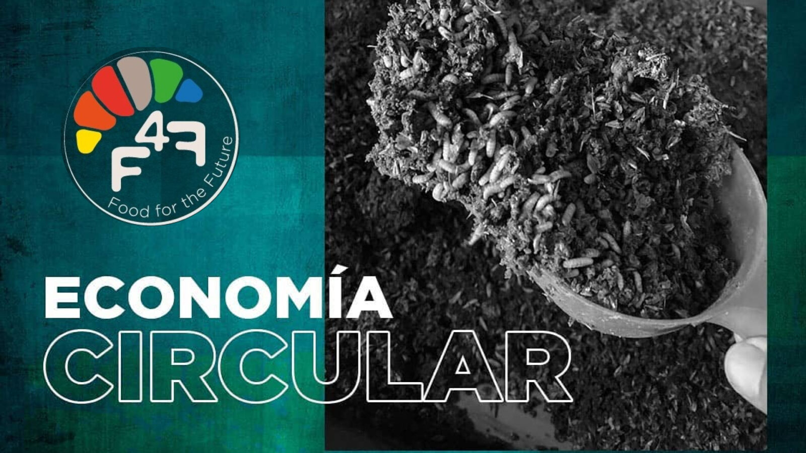 f4f inversion privada venture capital chile