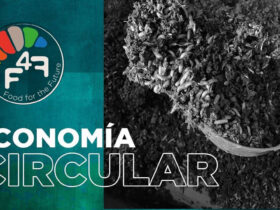 f4f inversion privada venture capital chile